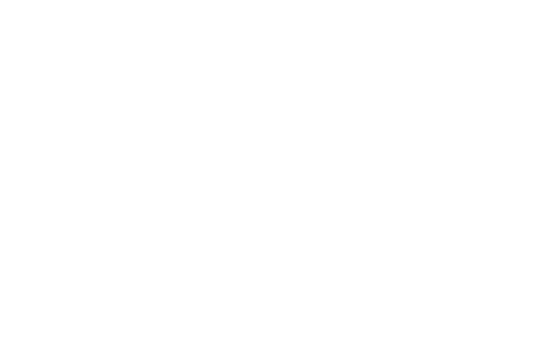 market by price chopper Logo